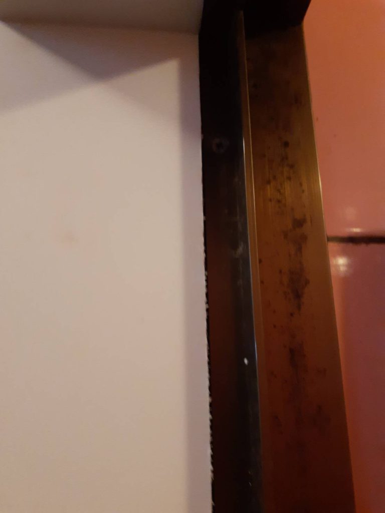 浴室折戸の枠についた黒い斑点錠のカビ